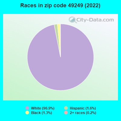 Races in zip code 49249 (2022)