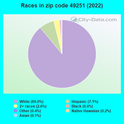Races in zip code 49251 (2022)
