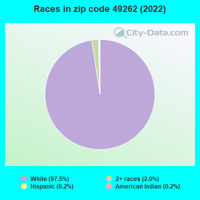 Races in zip code 49262 (2022)