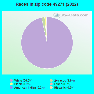 Races in zip code 49271 (2022)