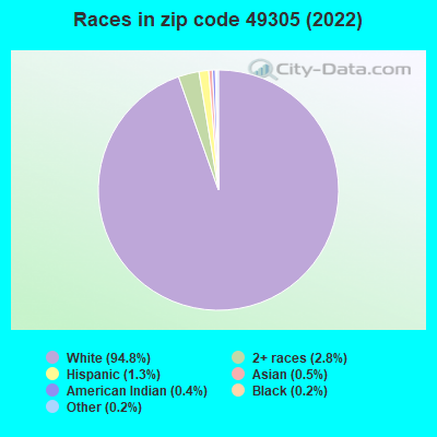 Races in zip code 49305 (2022)