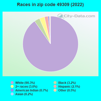 Races in zip code 49309 (2022)