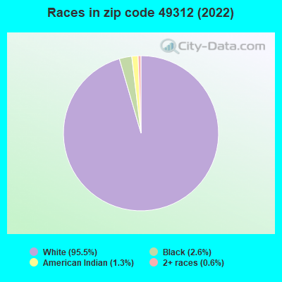 Races in zip code 49312 (2022)