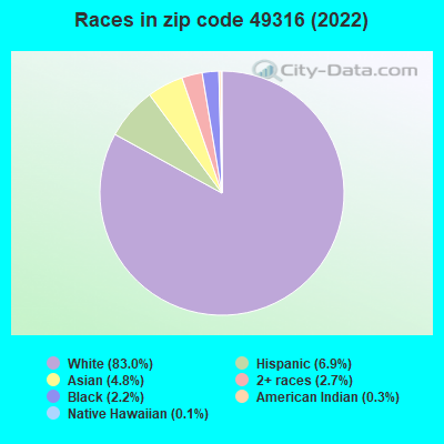Races in zip code 49316 (2022)