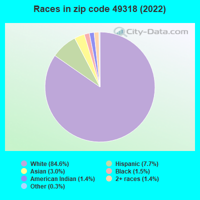 Races in zip code 49318 (2022)