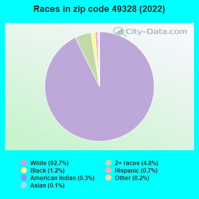 Races in zip code 49328 (2022)