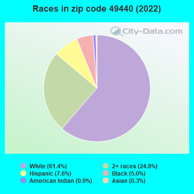 Races in zip code 49440 (2022)