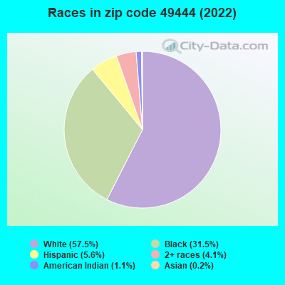 Races in zip code 49444 (2022)