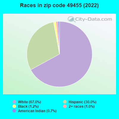 Races in zip code 49455 (2022)