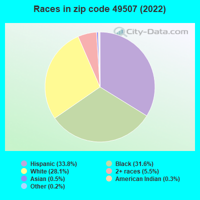 Races in zip code 49507 (2022)