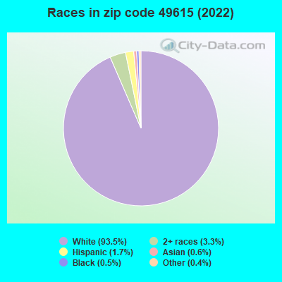 Races in zip code 49615 (2022)