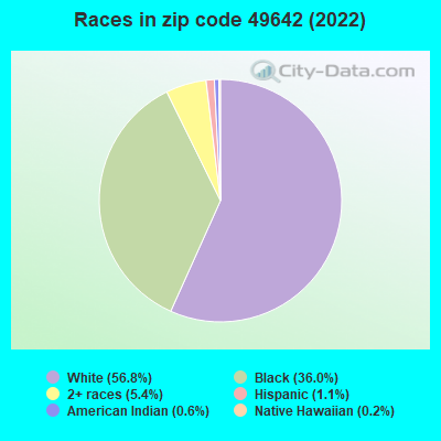 Races in zip code 49642 (2022)