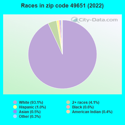 Races in zip code 49651 (2022)