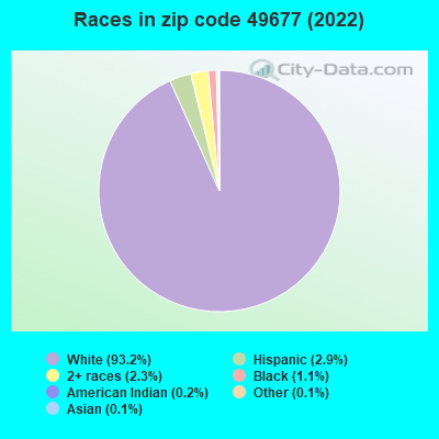 Races in zip code 49677 (2022)