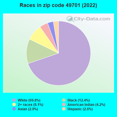 Races in zip code 49701 (2022)