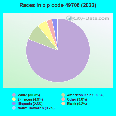 Races in zip code 49706 (2022)