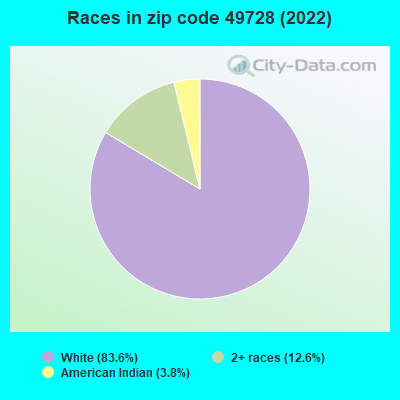 Races in zip code 49728 (2022)