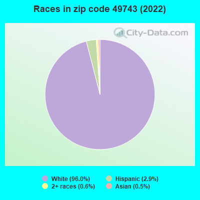 Races in zip code 49743 (2022)