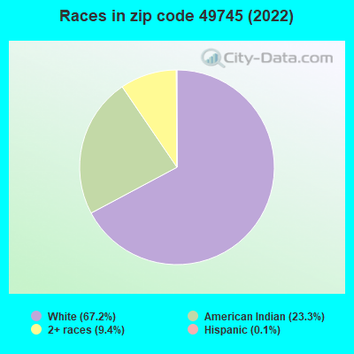 Races in zip code 49745 (2022)