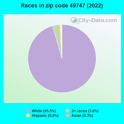 Races in zip code 49747 (2022)