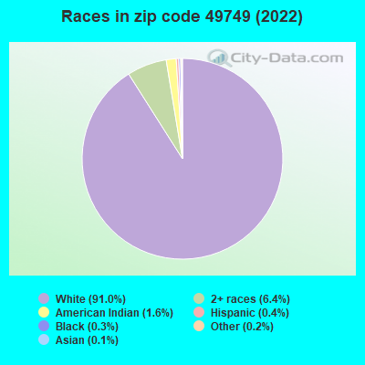 Races in zip code 49749 (2022)