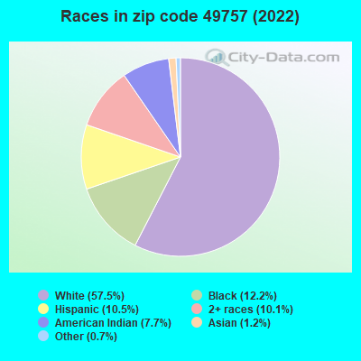 Races in zip code 49757 (2022)