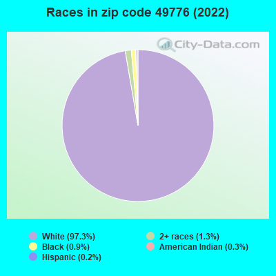 Races in zip code 49776 (2022)
