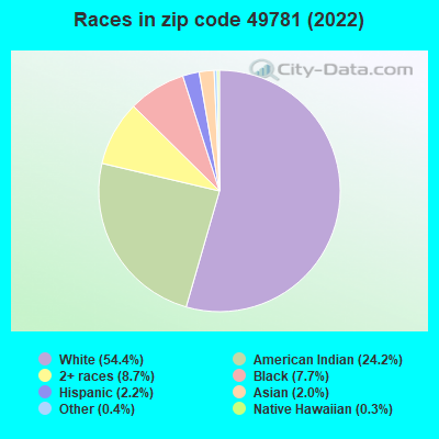 Races in zip code 49781 (2022)