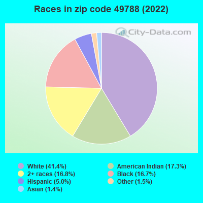Races in zip code 49788 (2022)