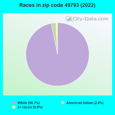 Races in zip code 49793 (2022)