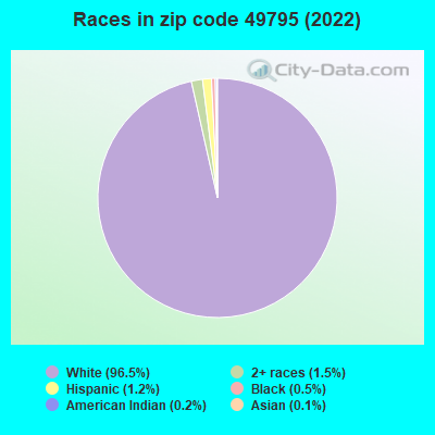 Races in zip code 49795 (2022)