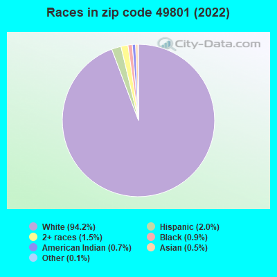 Races in zip code 49801 (2022)