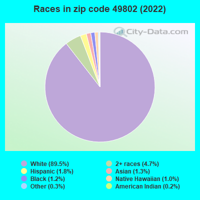 Races in zip code 49802 (2022)
