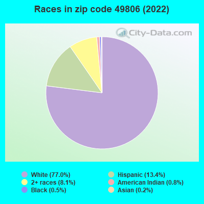 Races in zip code 49806 (2022)