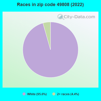Races in zip code 49808 (2022)