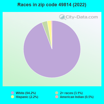 Races in zip code 49814 (2022)