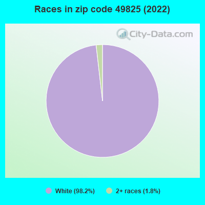 Races in zip code 49825 (2022)
