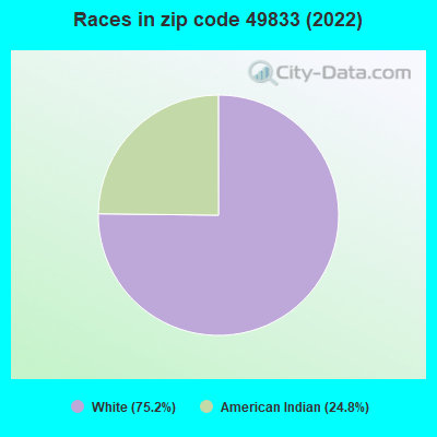 Races in zip code 49833 (2022)