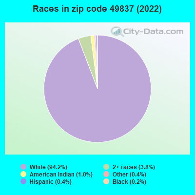 Races in zip code 49837 (2022)