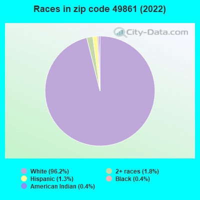 Races in zip code 49861 (2022)