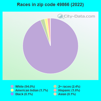 Races in zip code 49866 (2022)