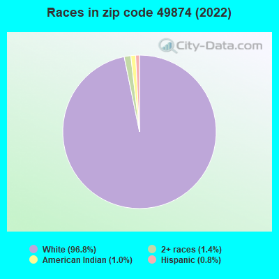 Races in zip code 49874 (2022)