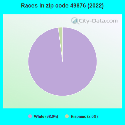 Races in zip code 49876 (2022)