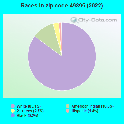 Races in zip code 49895 (2022)