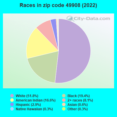 Races in zip code 49908 (2022)