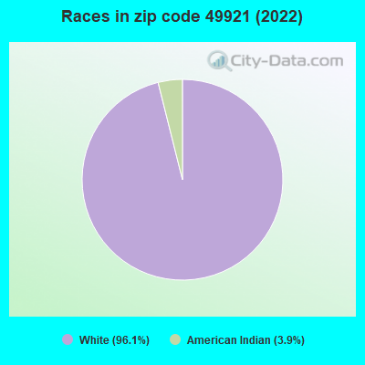 Races in zip code 49921 (2022)