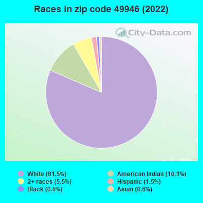 Races in zip code 49946 (2022)