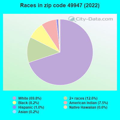 Races in zip code 49947 (2022)