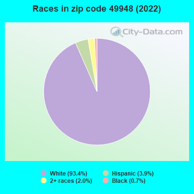 Races in zip code 49948 (2022)