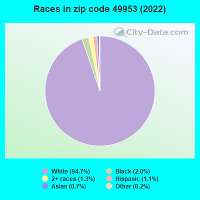 Races in zip code 49953 (2022)